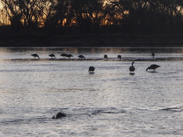 Rio Grande