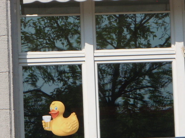 Even the Ducks Drink Beer