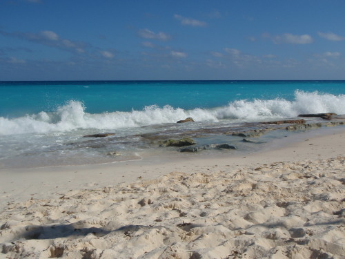 The Waves