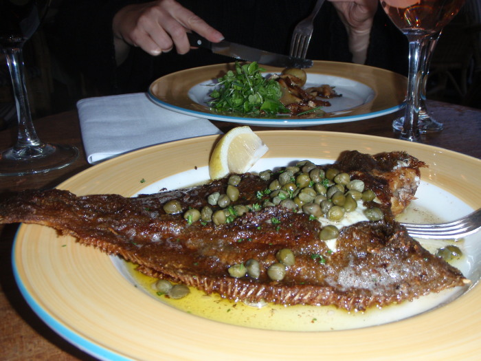 Something Fishy