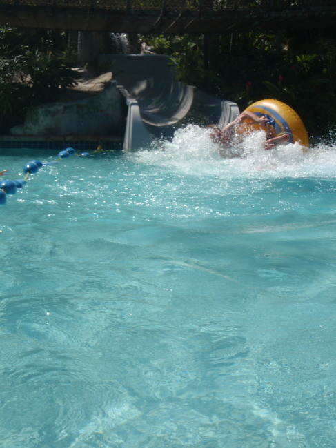 Wipeout