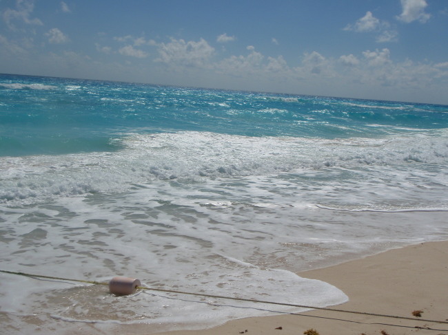 Ocean Heaven