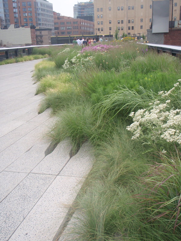 High in the Highline