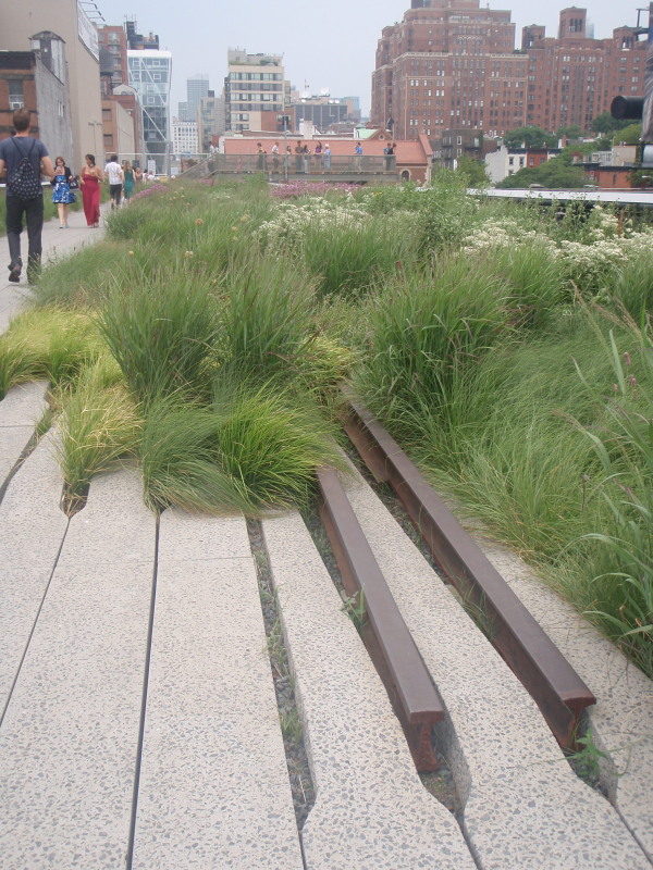Higher in Highline