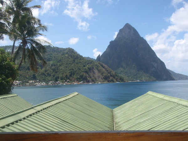 A Room with a View