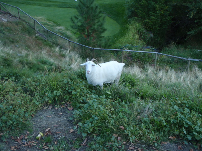 High on a Hill