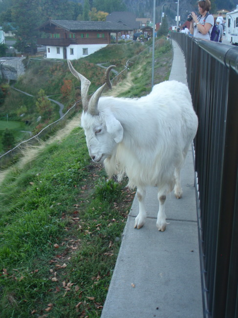 High on Another Hill