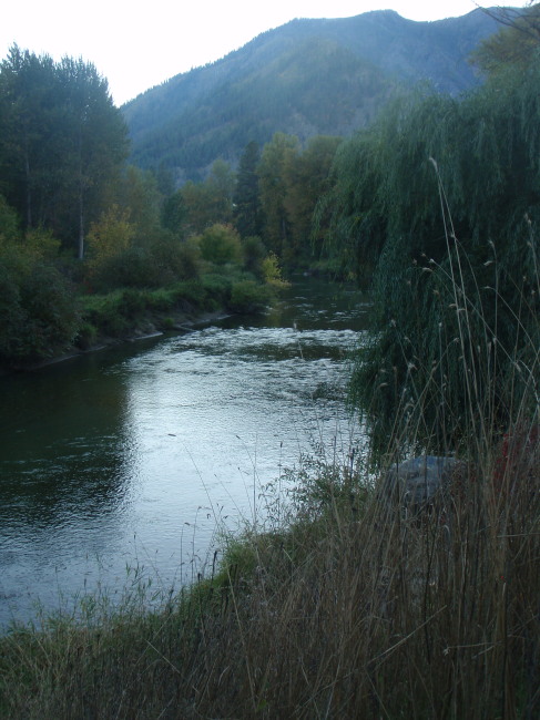 A River Somewhere