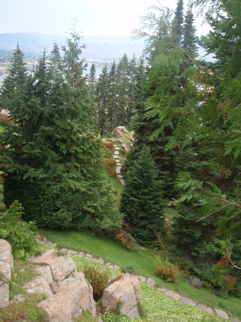 View from the Top
